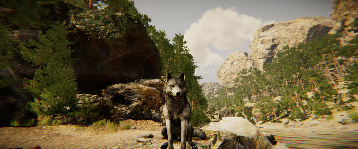 Animal simulator games: experience the animal kingdom